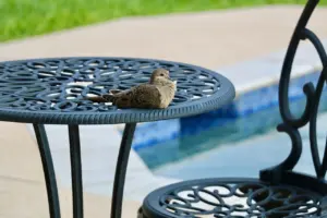 how to clean wrought iron furniture